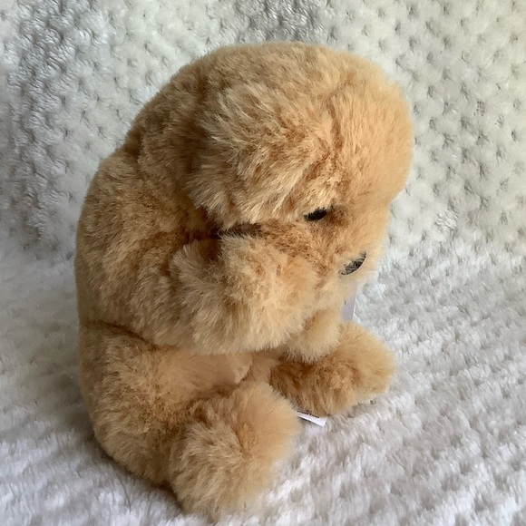 DOUGLAS Soft Tiny Newborn Golden Retriever Puppy Dog Plush Stuffed Animal w Tags - Picture 6 of 14